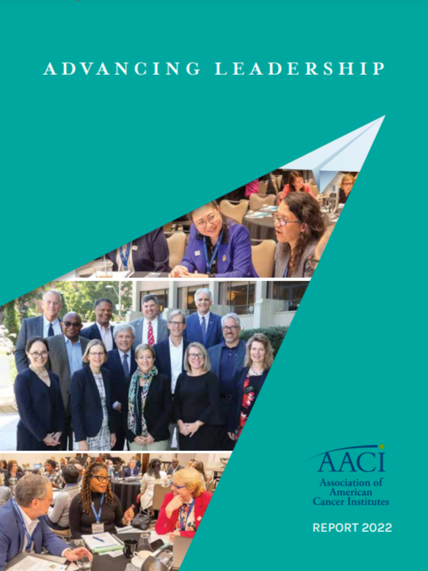 AACI Annual Report Cover 1
