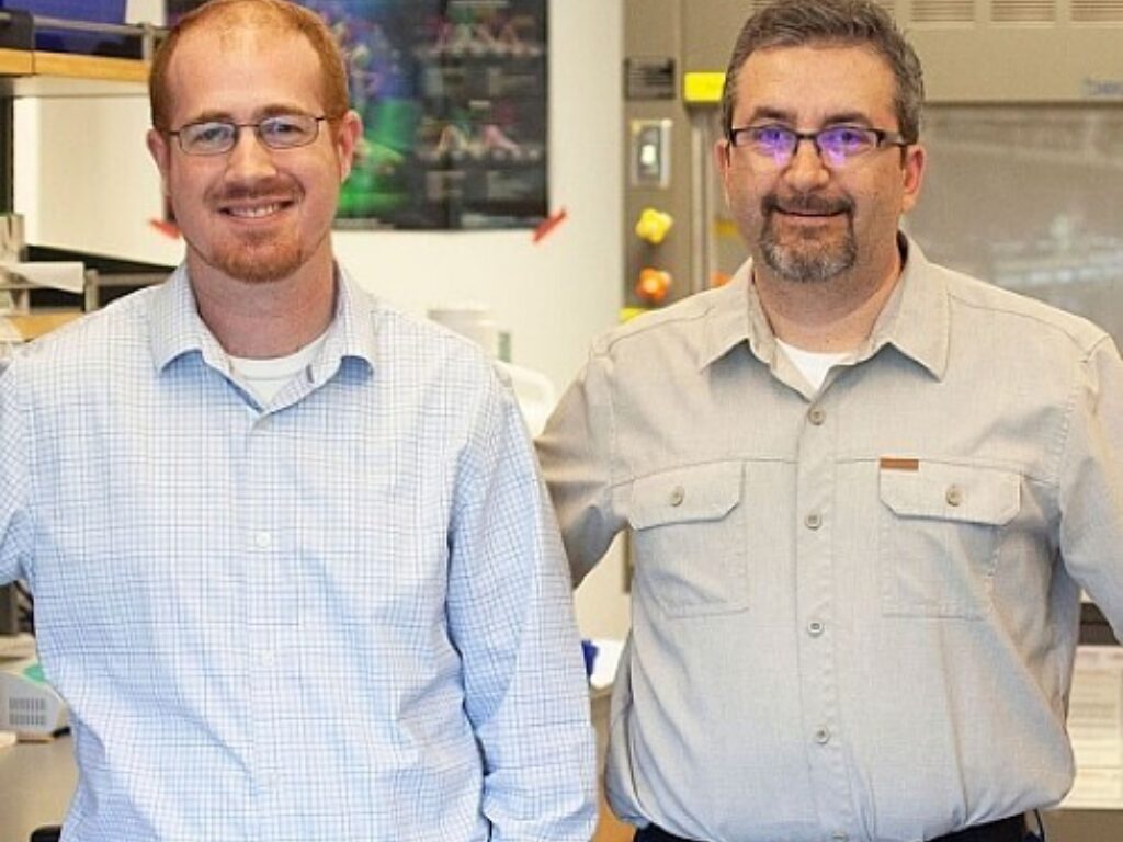 Computational Tool Enables Powerful Molecular Analysis of Biomedical Tissue Samples