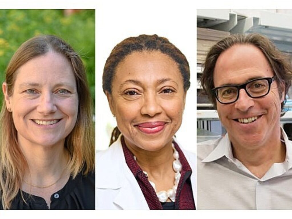 Dickson Khabele Longmore Elected to Association of American Physicians