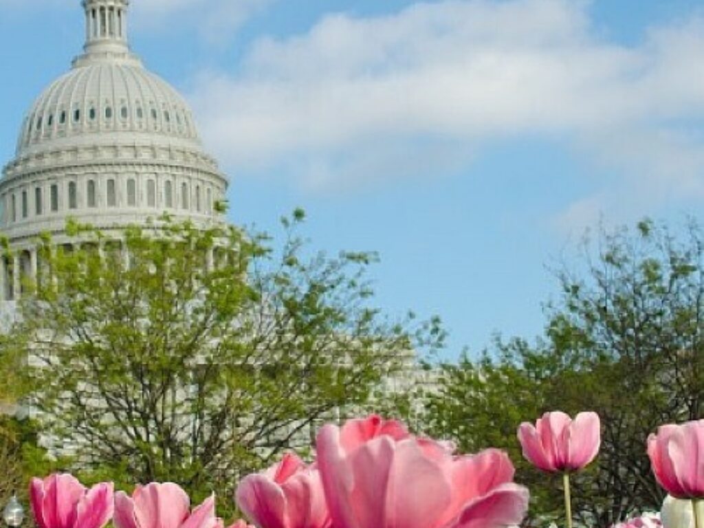 Join Us at Hill Day to Advocate for the NIH and NCI