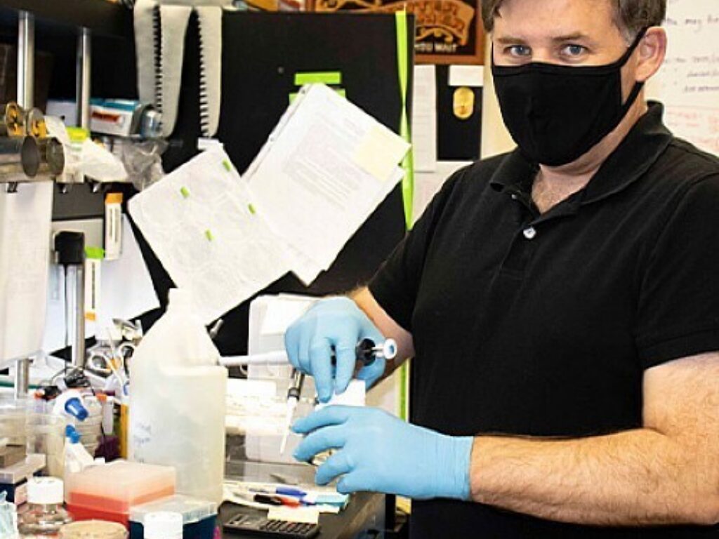 Researcher to Study Cellular Stress Responses Common in Cancer Aging